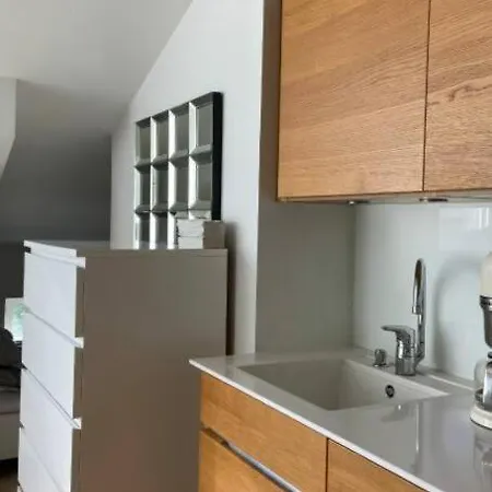 Elegant Penthouse Loft - Center 公寓 *